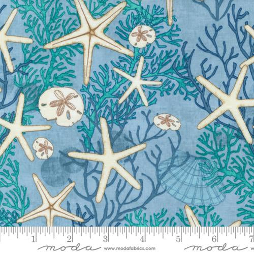 Breeze - 48771 16 - Serena Shores Collection by Robin Pickens - Moda Fabrics