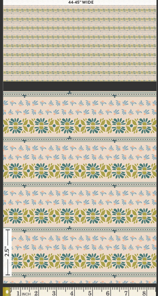 Bound to Evolve - BINDING 2.5 EDITION / BINDING - BINEV060417 - Evolve Collection by Suzy Quilts - Art Gallery Fabrics