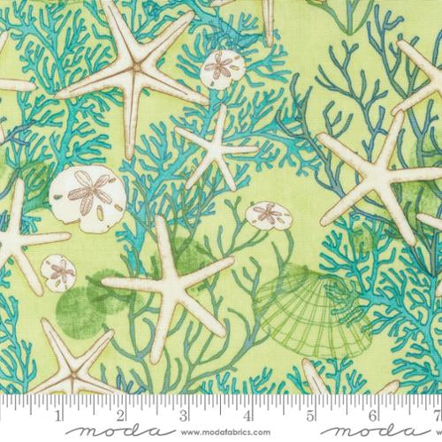 Kelp - 48771 25 - Serena Shores Collection by Robin Pickens - Moda Fabrics