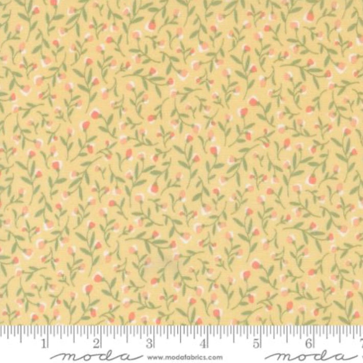 Buttermilk 31731 14 - Flower Girl Collection by Heather Briggs of My Sew Quilty Life - Moda Fabrics