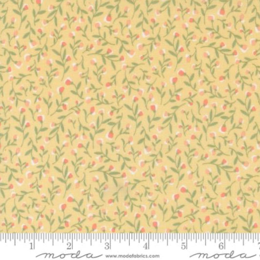 Buttermilk 31731 14 - Flower Girl Collection by Heather Briggs of My Sew Quilty Life - Moda Fabrics