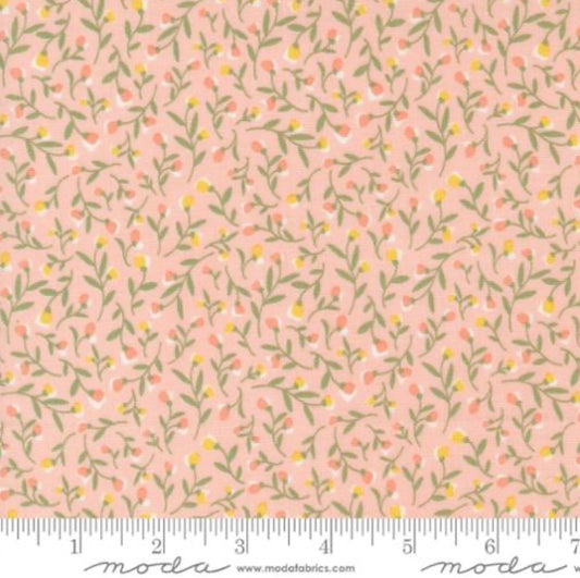 Blush 31731 16 - Flower Girl Collection by Heather Briggs of My Sew Quilty Life - Moda Fabrics