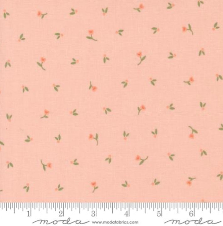 Blush 31732 16 - Flower Girl Collection by Heather Briggs of My Sew Quilty Life - Moda Fabrics