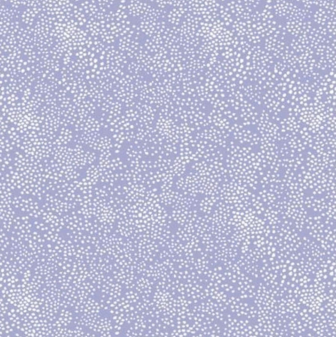 Menagerie Champagne - Periwinkle - Basics by Rifle Paper Company