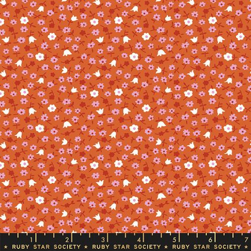 Catalog Calico Pecan RS3057 13 - Lil Collection by Kimberly Kight - Ruby Star Society - Moda Fabrics