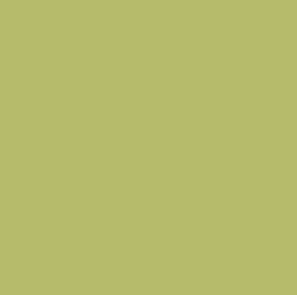 Pure Solids - Appletini - Art Gallery Fabrics - 100% Cotton