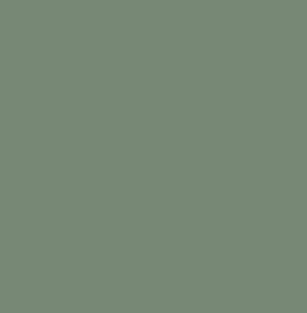 Pure Solids - Rosemary - Art Gallery Fabrics - 100% Cotton