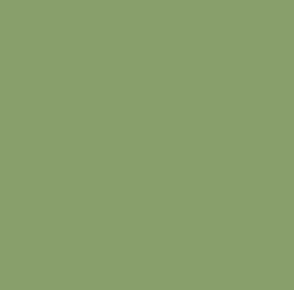 Pure Solids - Asparagus - Art Gallery Fabrics - 100% Cotton