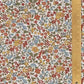 Ava - Multi Neutral - Tana Lawn - Classics Collection - Liberty of London