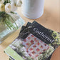 Preorder: Gathered Quilt Recipes 2 by Jen Kingwell