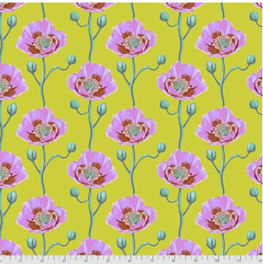 Cheering Section - Bright Eyes Collection by Anna Maria Horner - FreeSpirit Fabrics