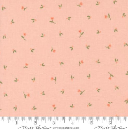 Blush 31732 16 - Flower Girl Collection by Heather Briggs of My Sew Quilty Life - Moda Fabrics