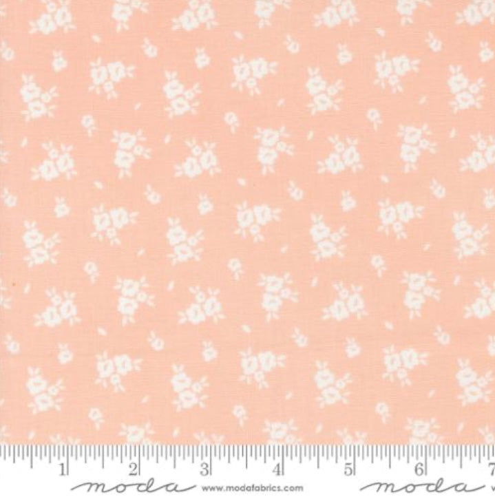 Blush 31734 16 - Flower Girl Collection by Heather Briggs of My Sew Quilty Life - Moda Fabrics