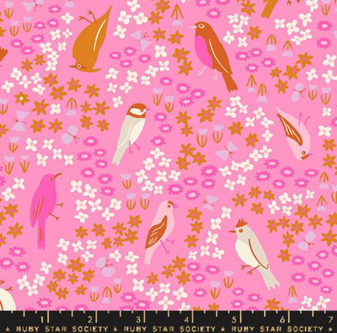 Flamingo RS 3077 12 - Bird Is The Word Collection by Kimberly Kight - Ruby Star Society - Moda Fabric