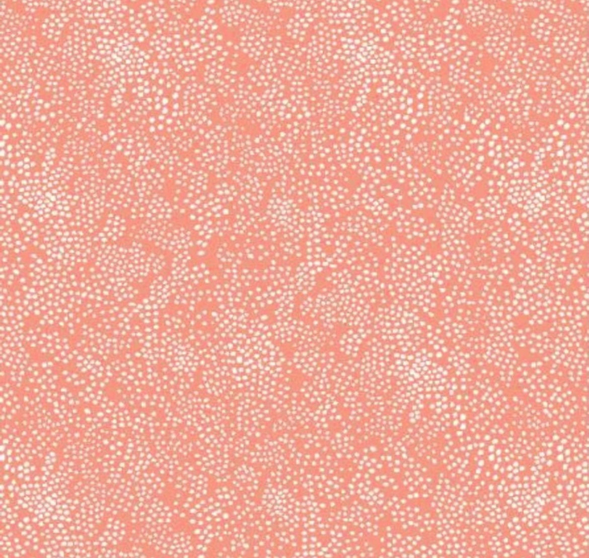 Menagerie Champagne - Coral - Basics by Rifle Paper Company