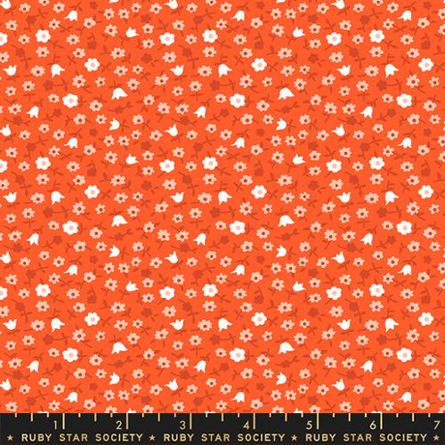 Catalog Calico Florida RS3057 14  - Lil Collection by Kimberly Kight - Ruby Star Society - Moda Fabrics