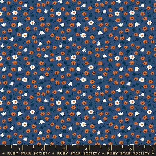 Catalog Calico Bluebell RS3057 15 - Lil Collection by Kimberly Kight - Ruby Star Society - Moda Fabrics