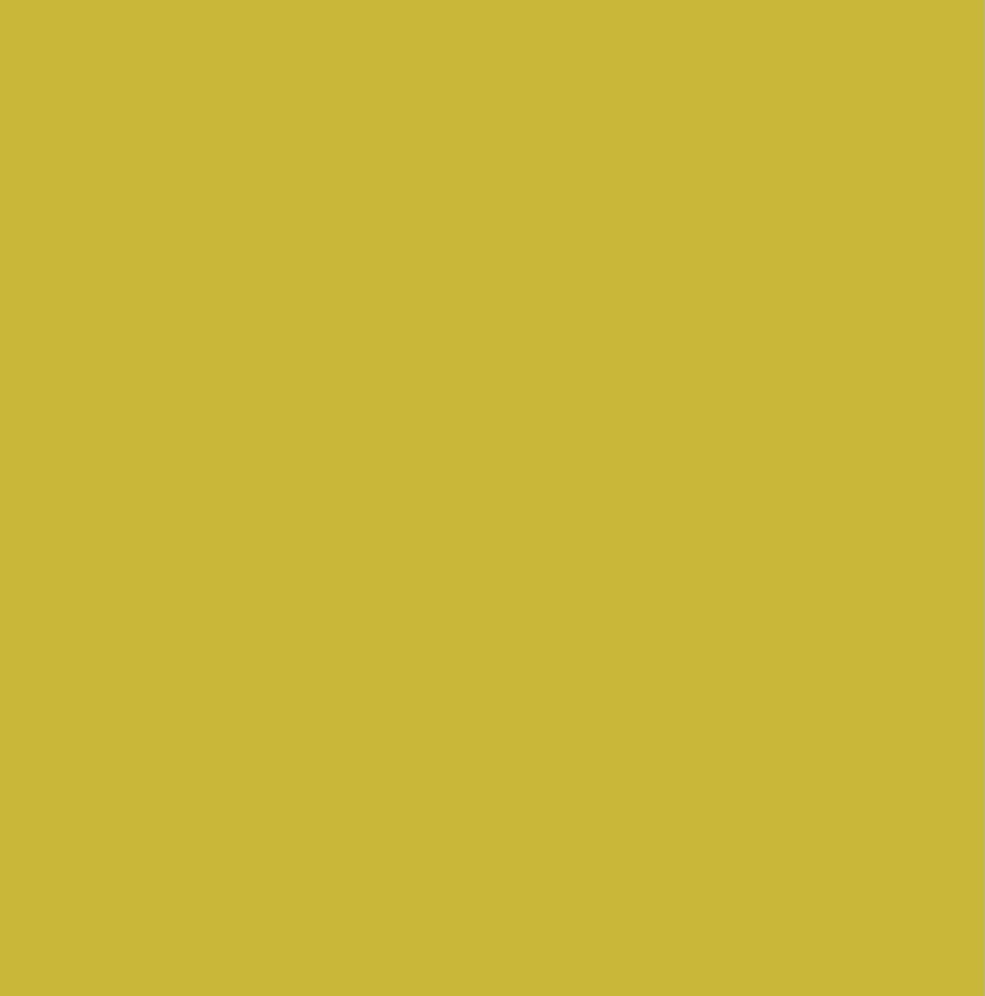 Pure Solids - Olive Oil - Art Gallery Fabrics - 100% Cotton
