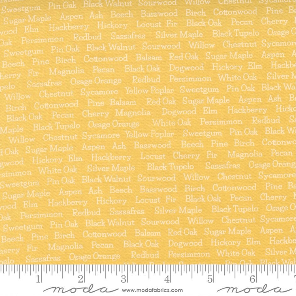 Cozy Up Sunshine by Corey Yoder - Cozy Up Collection - Moda - 100% Cotton